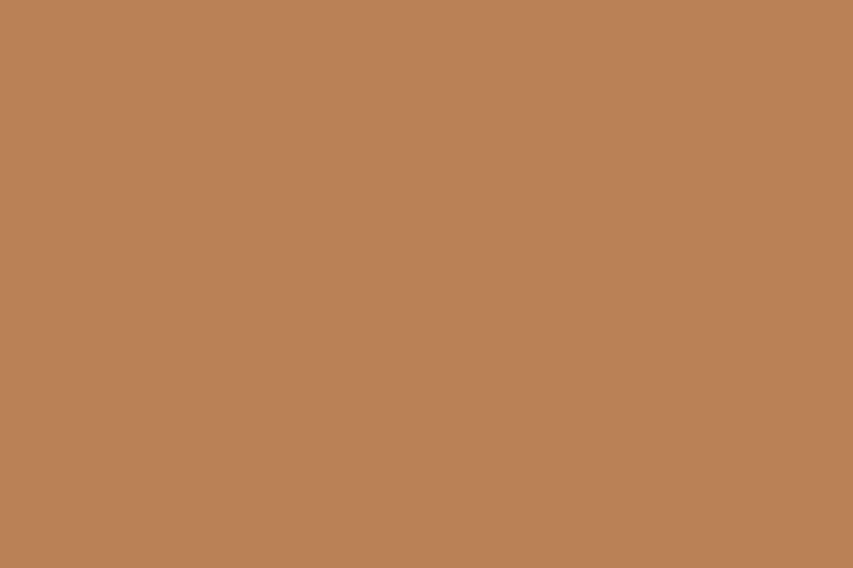 Buckskin Brown gutter color sample