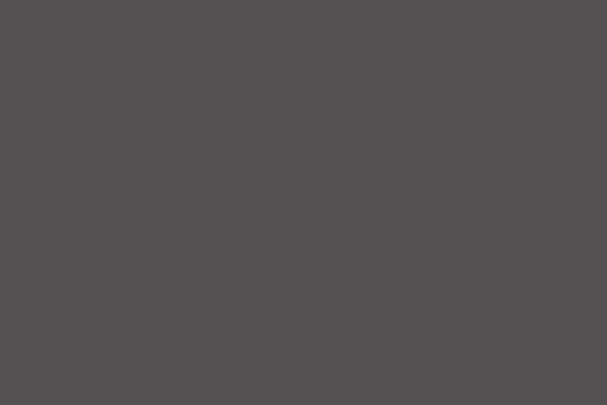 Tuxedo Gray gutter color sample
